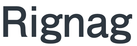 Rignag LLC.